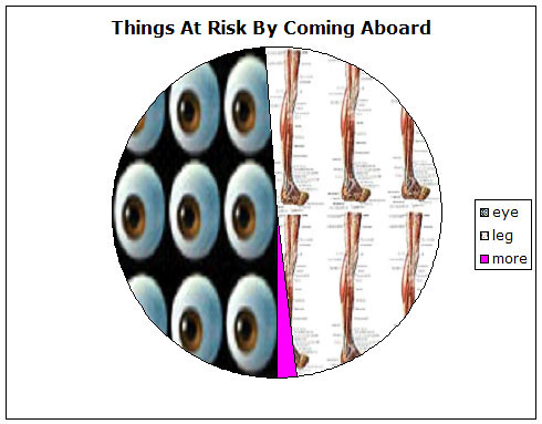 Things At Risk By Coming Aboard (the pirate ship)