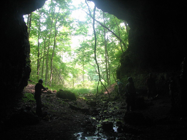 Big Hamilton Cave near Meramec State Park