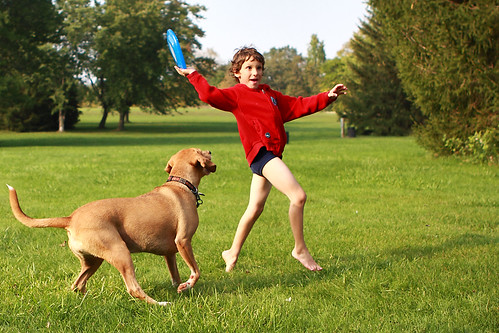 Kid about to be mauled by dog