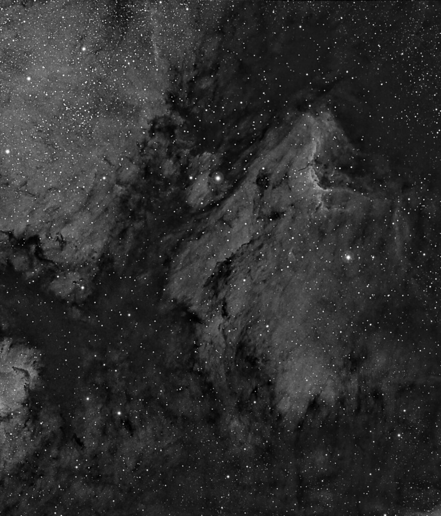 Pelican & Dark Nebula