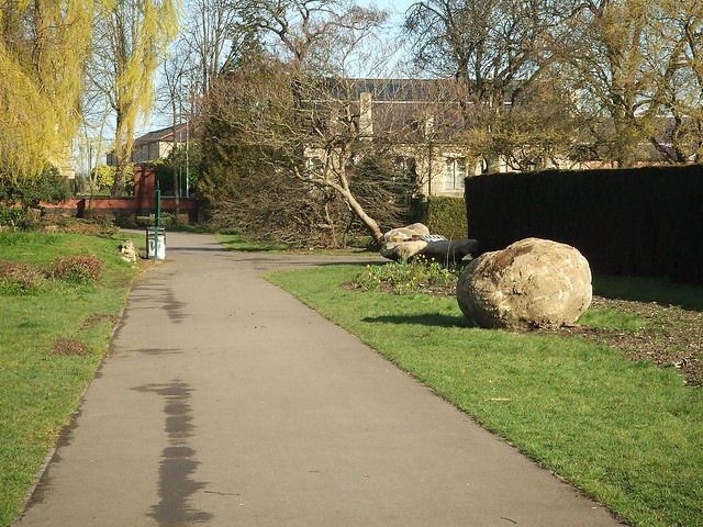 Boulders in the Park