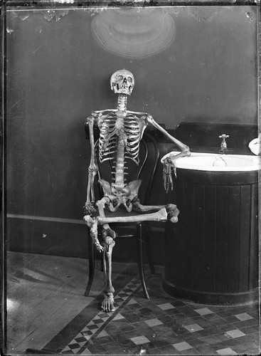 Portrait of an articulated skeleton on a bentwood chair | by Powerhouse Museum Collection