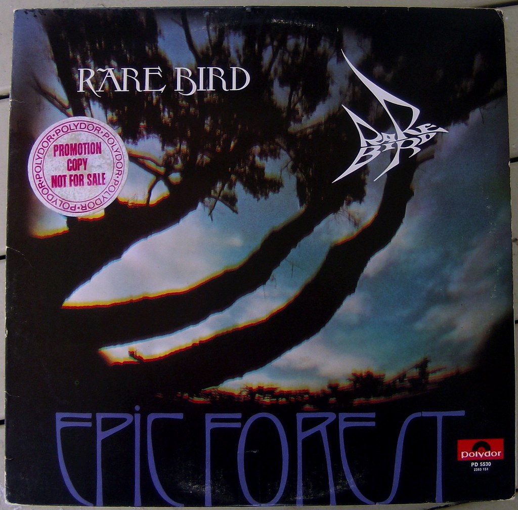 Rare Bird / Epic Forest