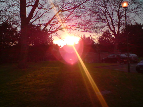 Sunset Glare | by kewsvnet