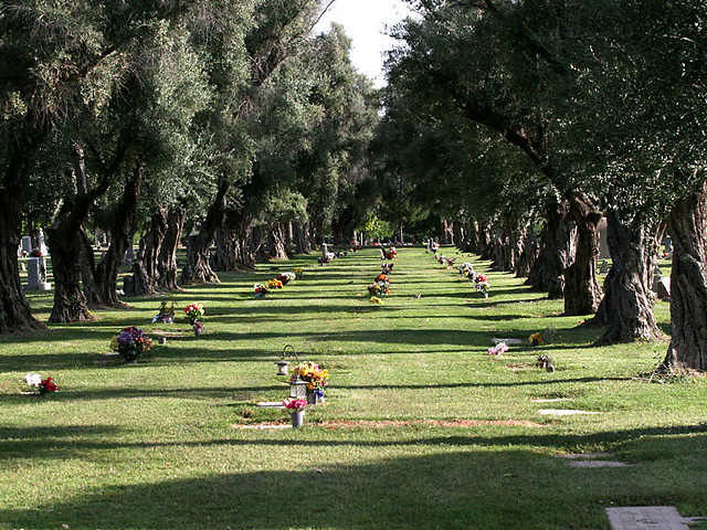 Cemetery in Mesa Arizona 3664
