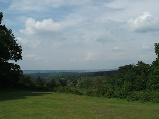 north downs from Leith hill 