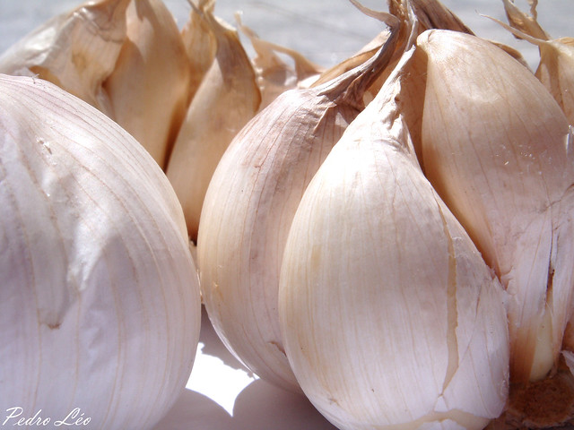 Alho/Garlic