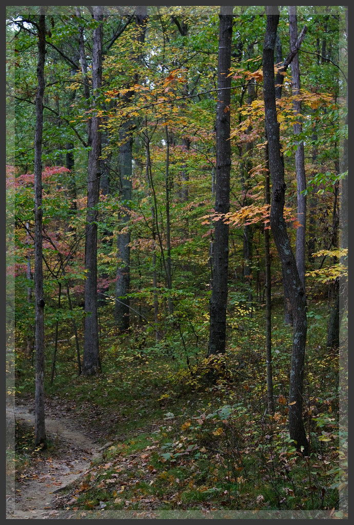 Nebo Ridge Trail