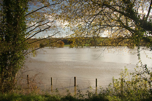 Flooded banks of the River Medway near Penshurst