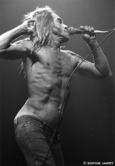 Iggy Pop & the Stooges