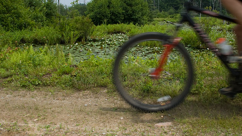 road blur bike ma nikon waterlily path massachusetts dirt riding middleboro d80 dave9