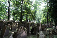 Old Jewish Cemetery 2