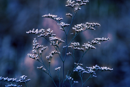 Blue are the life-giving waters taken for granted; They quietly understand..... by jewelflyt