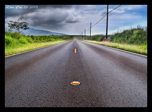 Road To Wailua by Ryan Eng