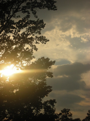 DSCN4573 by jayverni, An impressive show of clouds after a quick end of June cloudburst.trees sunset sun clouds