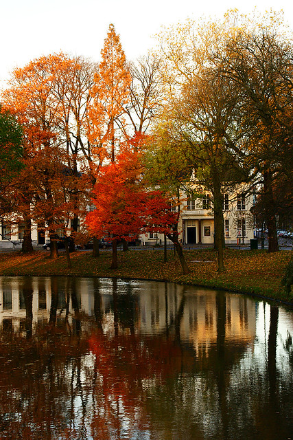Orange, red, brown & green autumn Trees @ Lepelenburg Utrecht