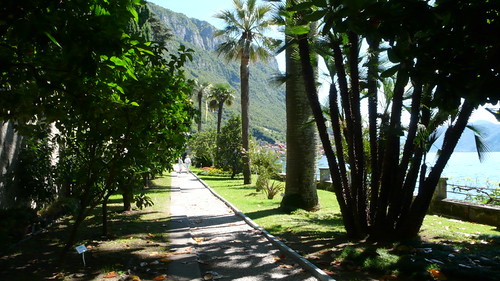 Varenna - Une allée des jardins de la Villa Monastero | by jeanlouisallix