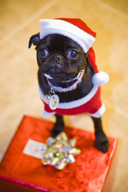 Chibi Wishing You A Merry Christmas!