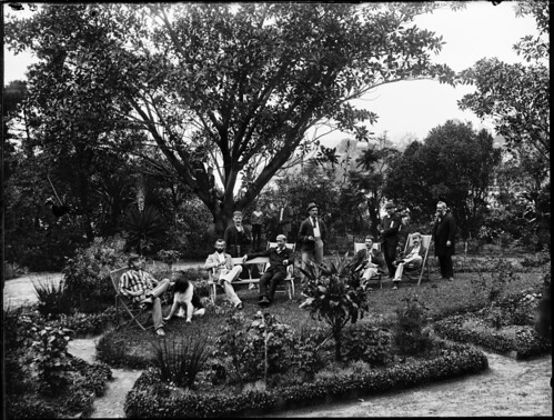 Garden scene with large group of men under large tree | by Powerhouse Museum Collection