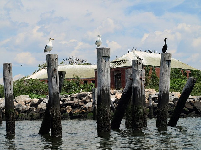 Swinburne Island, Lower New York Bay