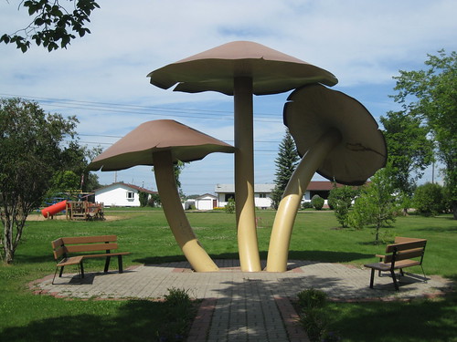 park canada tourism bench giant mushrooms three tourist alberta bigthings vilna canadabigthings