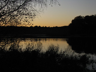 Stony Brook at Sunset