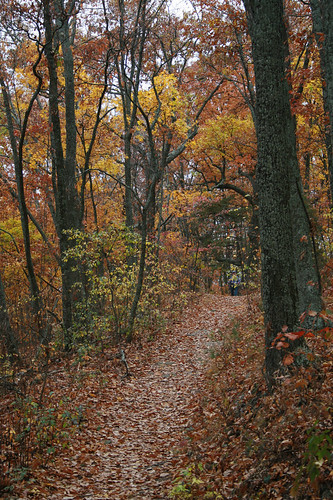 autumn hiking tennessee housemountain knoxcounty housemountainstatenaturalarea