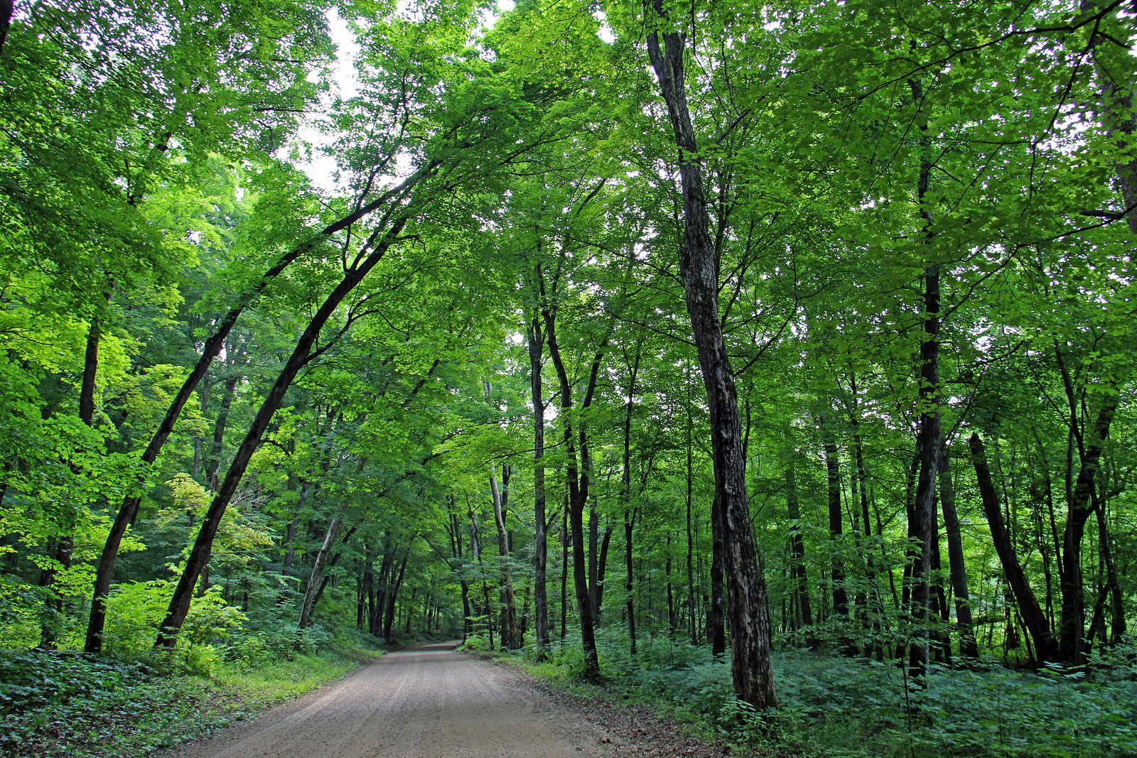 Rustic Roads: St. Croix/Polk Counties | Flickr