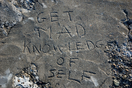 solid advice | by niarBdaM