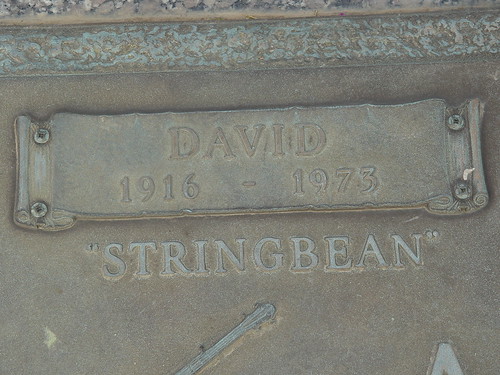 Strigbean
