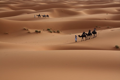 The Beauty of the Desert by alex lichtenberger