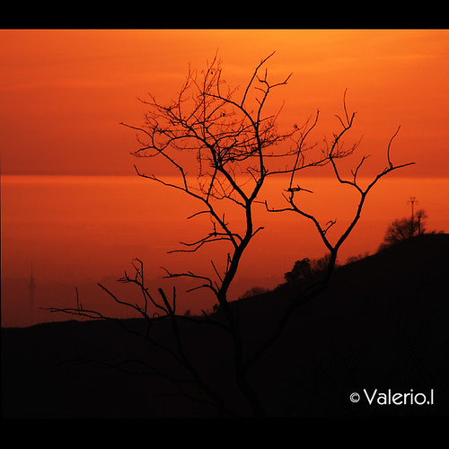 Albero sera by Valerio.I, sunset italy panorama orange tree backlight italia tramonto torre branches eur albero controluce ram