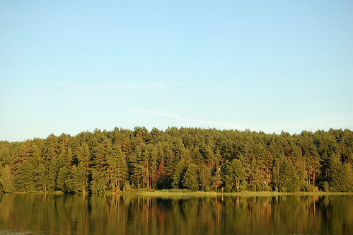 wood trees summer lake reflection d50 countryside country poland waterside kaszuby kłączno klaczno