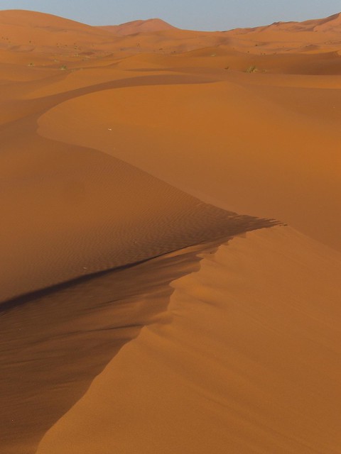 erg chebbi dunes