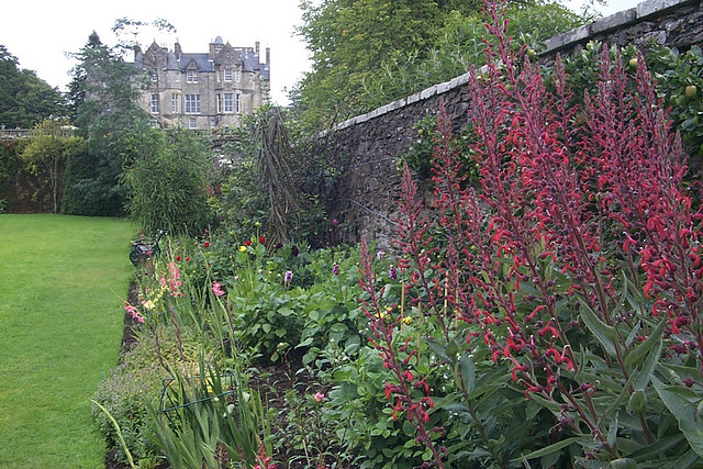 Torosay Castle garden