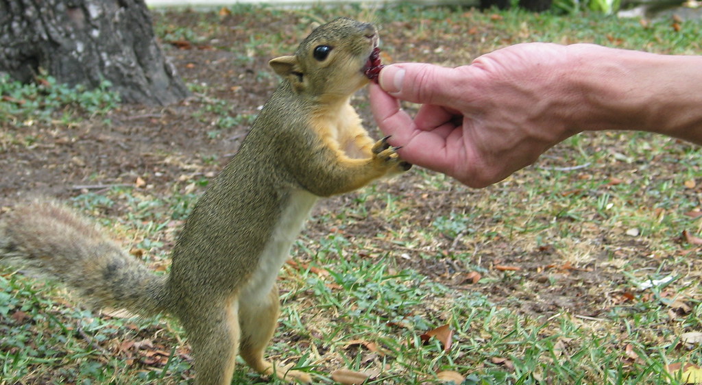a tender moment w/ a squirrel