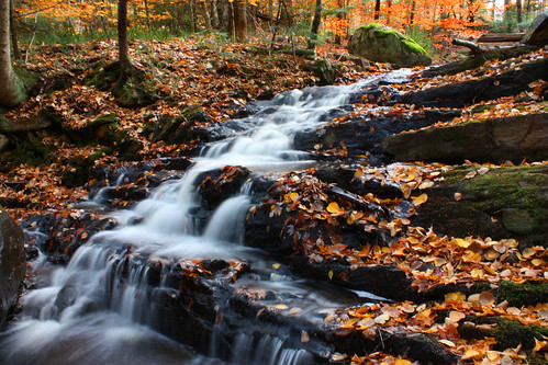 longexposure autumn fall nature water colors leaves waterfall leaf colorful long exposure maine