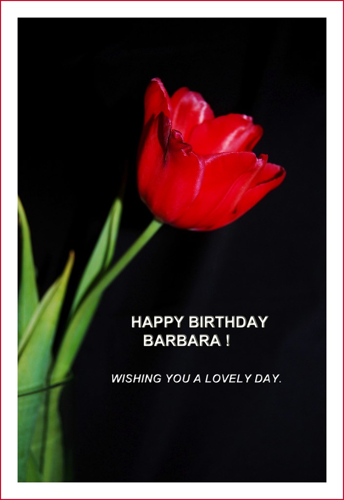 Birthday Wishes for Barbara.