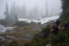 The Fog Descends
