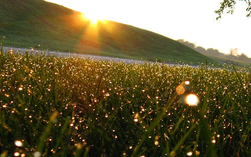 grass sunrise maryland dew cockeysville sooc