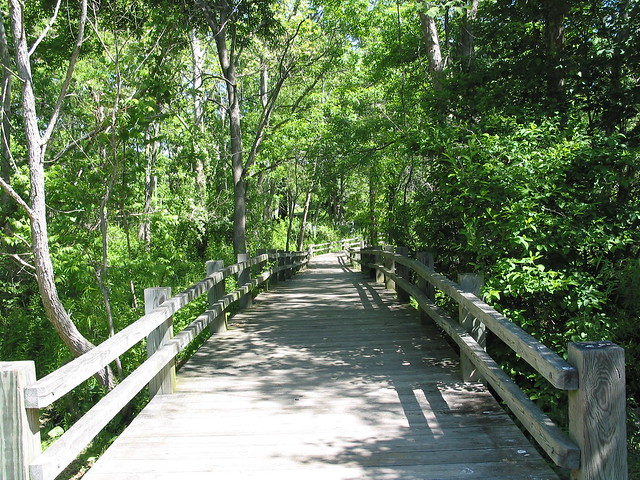 Gunner's Lake Park:  a bridge worthy of a slow stroll
