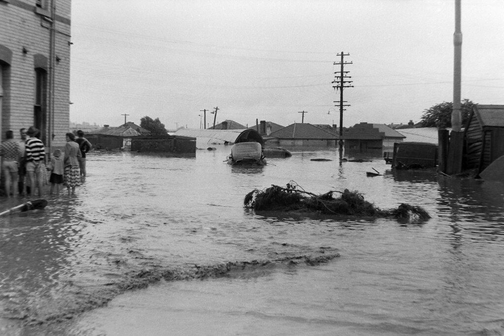 Flooded streets during the Maitland Flood, 1955: Lucey Collection