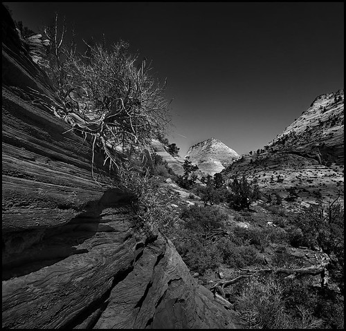 zion by the urban picasso