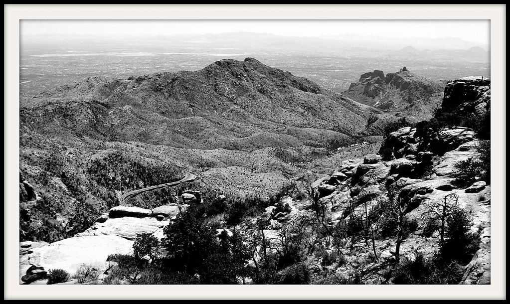 Mountain View at Windy Vista Point Near Mount Lemmon, Tucson, Arizona by Melbie Toast