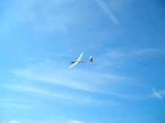 A glieder in the sky