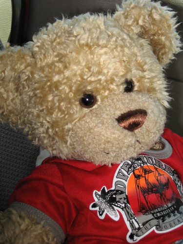 cuddles my build a bear :) | by kutecittycat7