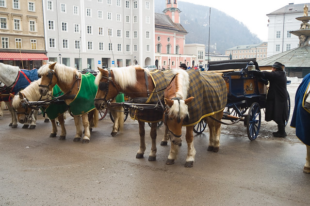 Horse carriage. Salzburg, Austria * Повозка с лошадьми. Зальцбург, Австрия