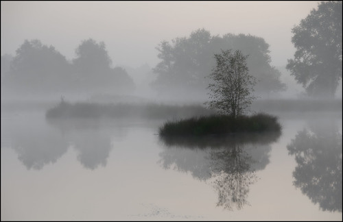 Isolation by Rob Millenaar