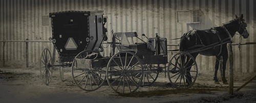 horse texture wagon mainstreet missouri buggy jamesport