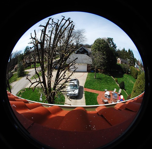 sky tree car found cool chairs awesome huntington fisheye 180 wv tiles tables excellent vinny roofing degrees d40x
